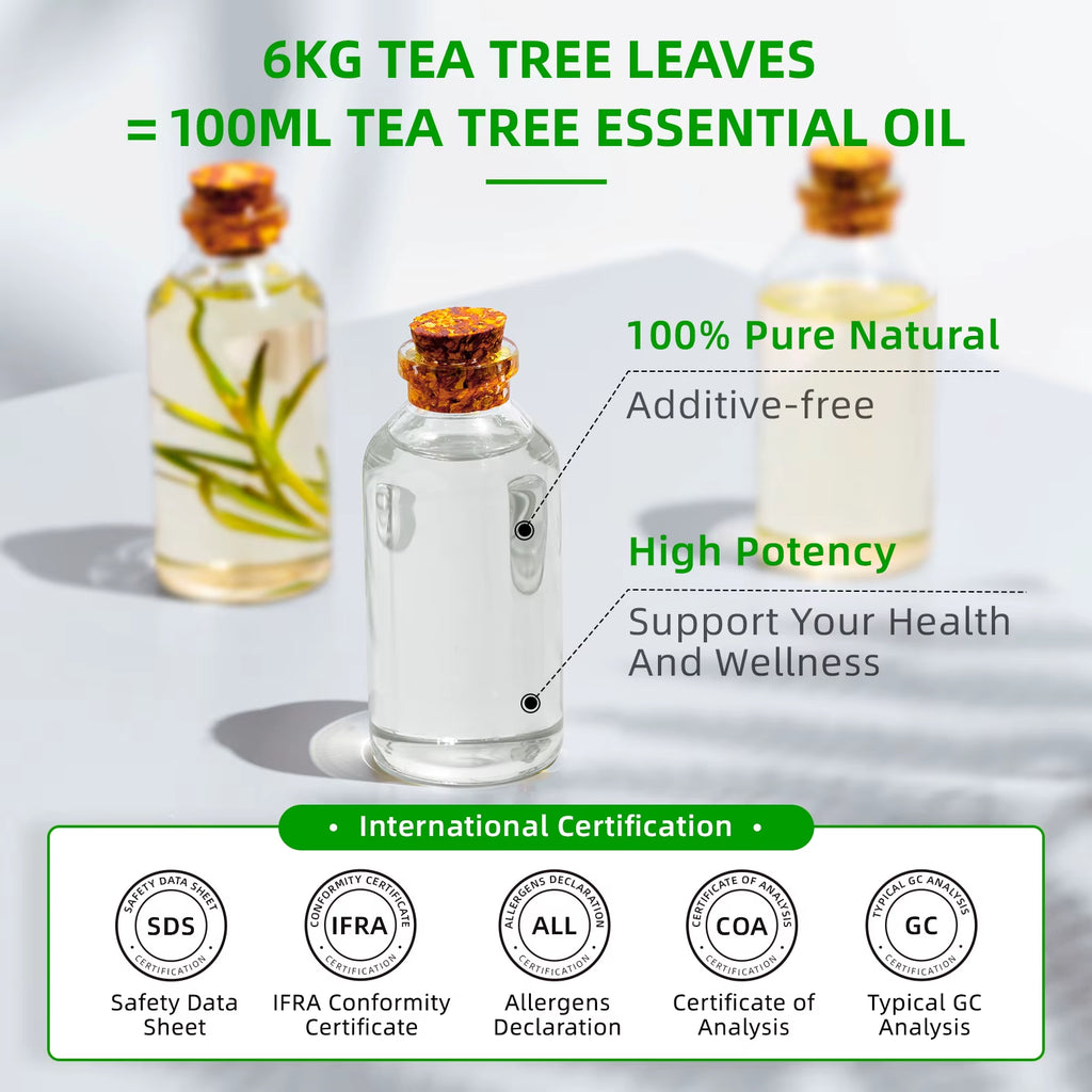 100ML Tea Tree Essential Oils for Diffuser Humidifier Aromatherapy Massage Aromatic Oil for Candles Making Soap Hair Care